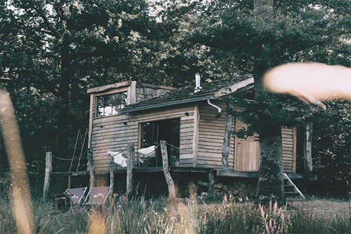 Vue externe de la tiny house The Forest